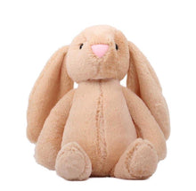 Load image into Gallery viewer, Plush Bunny Rabbit
