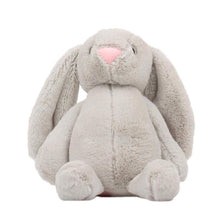 Load image into Gallery viewer, Plush Bunny Rabbit
